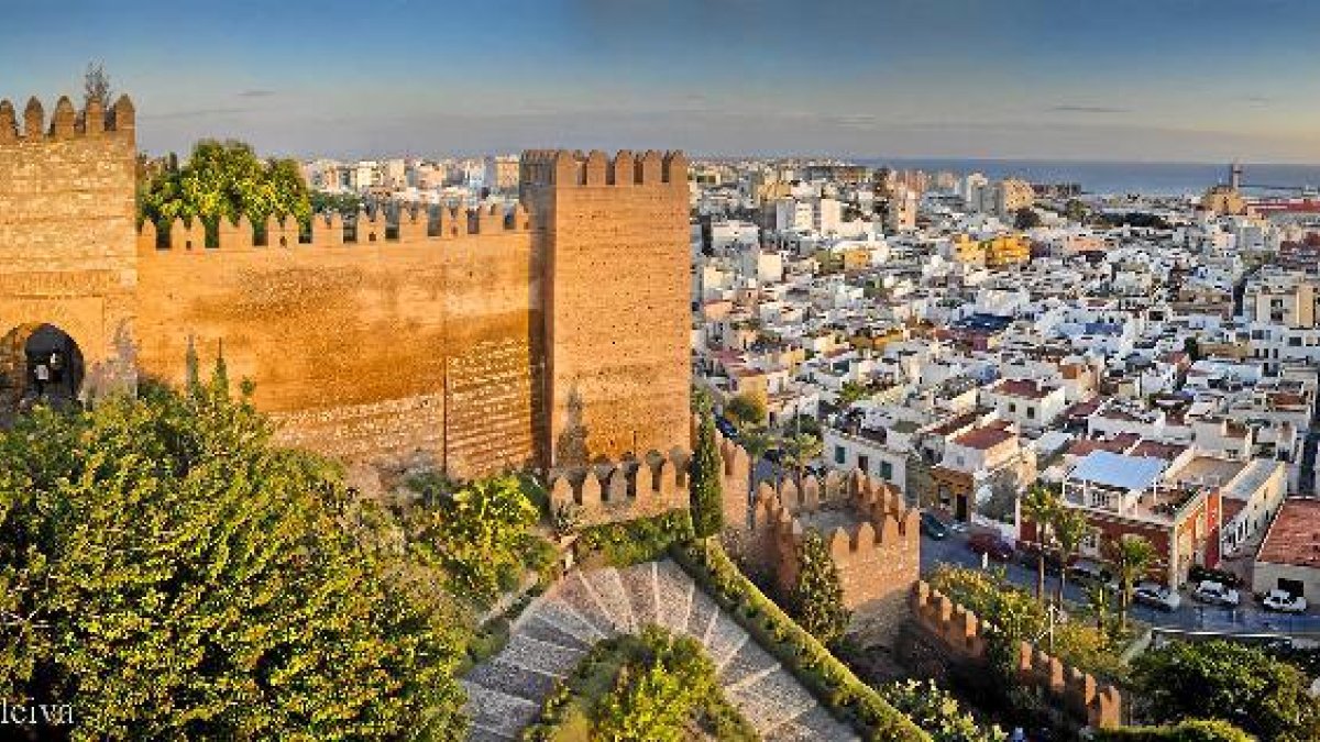 Bonita vista de la Alcazaba obra de Domingo Leiva.