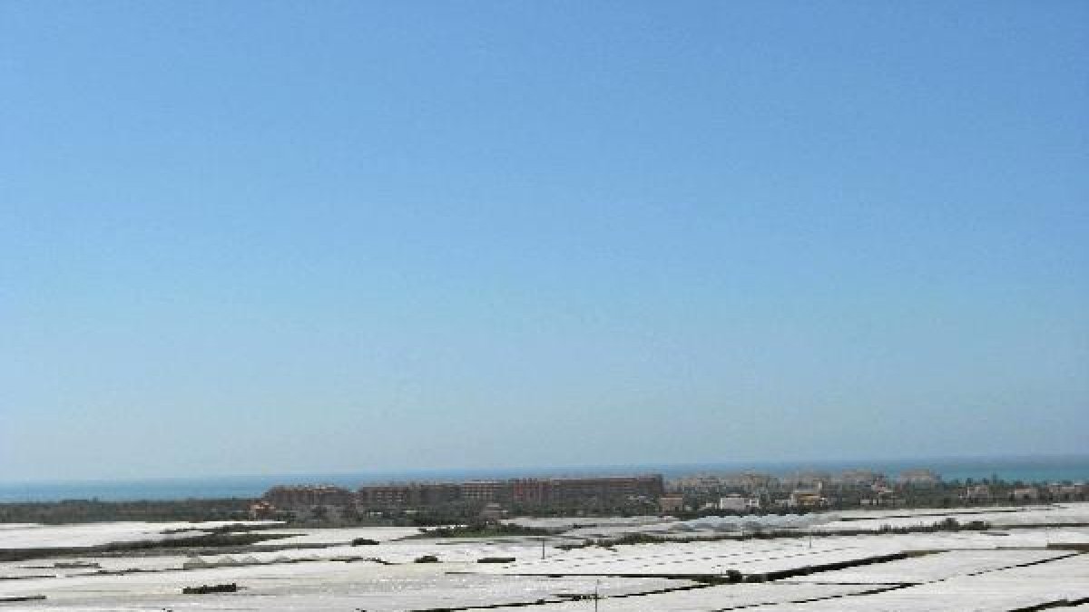 Invernaderos construidos en la Bahía de San Miguel.