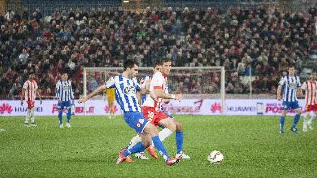 Hemed.