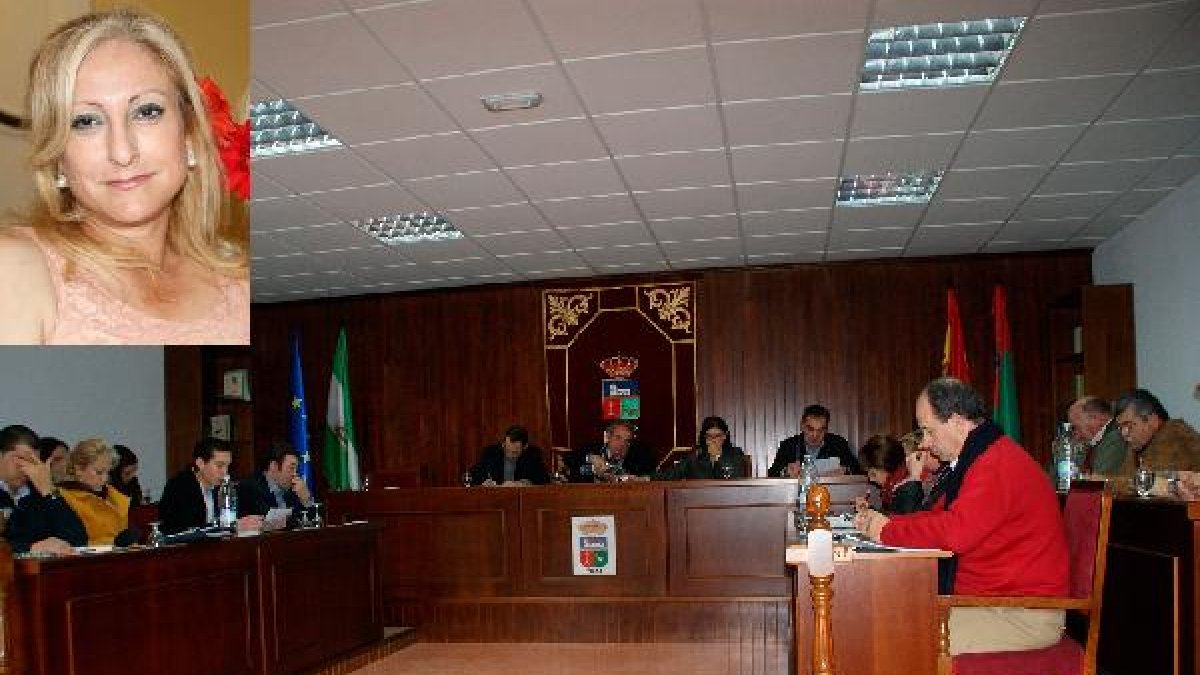 La dimisionaria y el pleno