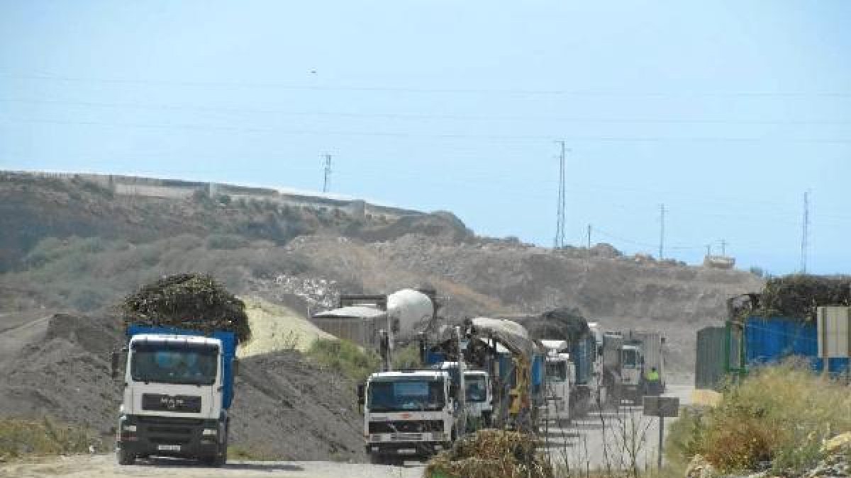 Camiones cargados de restos agrícolas en El Viso