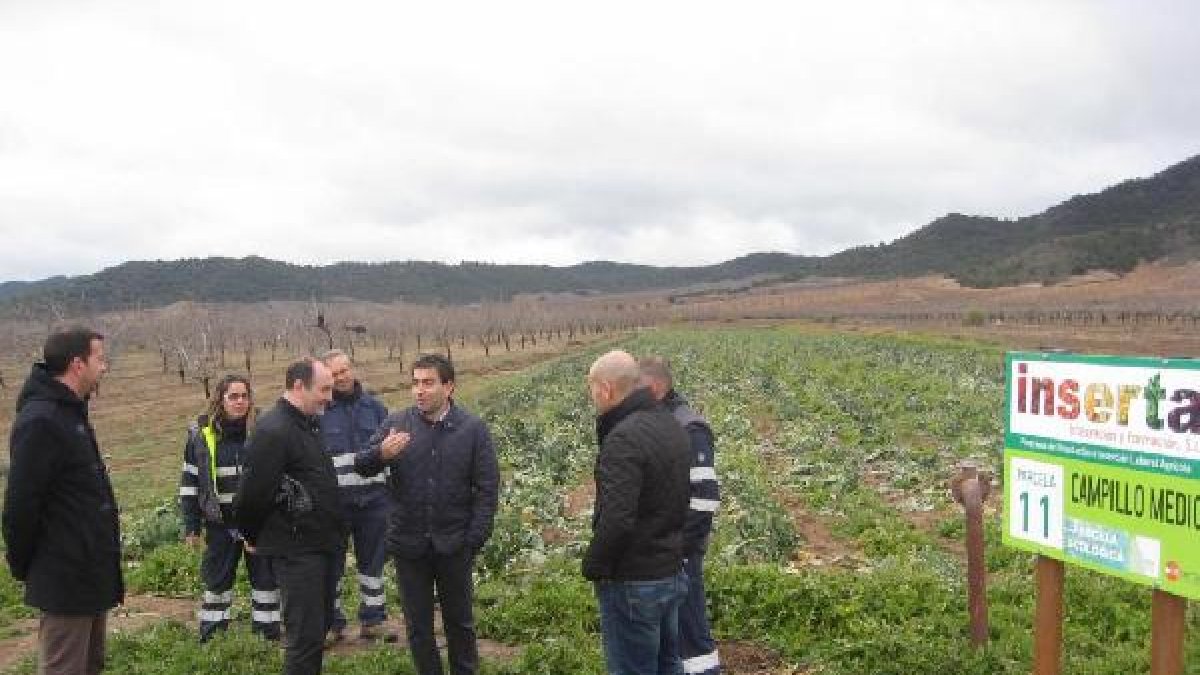 Visita del delegado provincial de la Junta a las explotaciones.