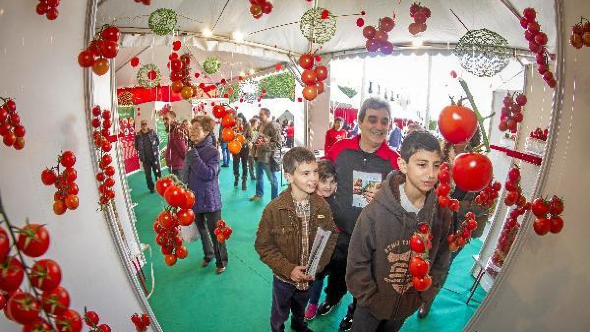 Tomate para todos los gustos donde los niños pudieron conocer las diferentes variedades de esta hort
