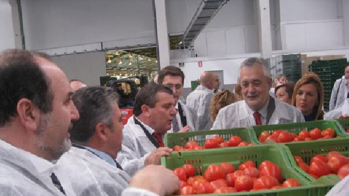 Visita del expresidente Griñán a Vicasol.