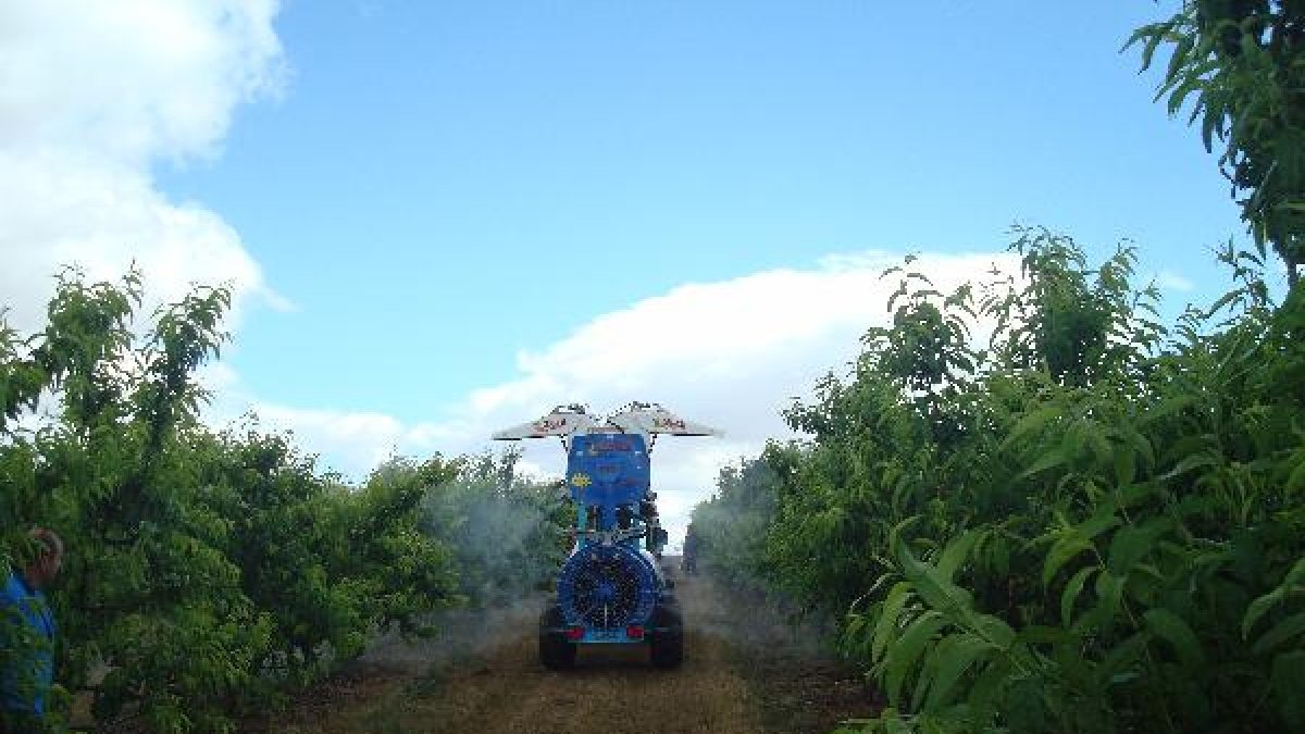 Más de 5.000 hectáreas de cítricos se cultivan bajo métodos de producción integrada en Andalucía.