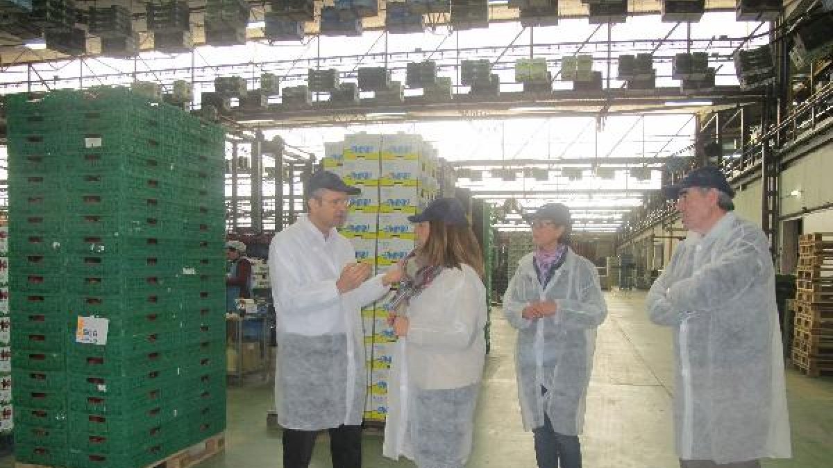Un momento de la visita en las instalaciones de Murgiverde.
