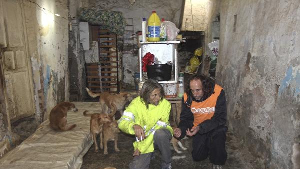 Miembros de la protectora El Refugio.