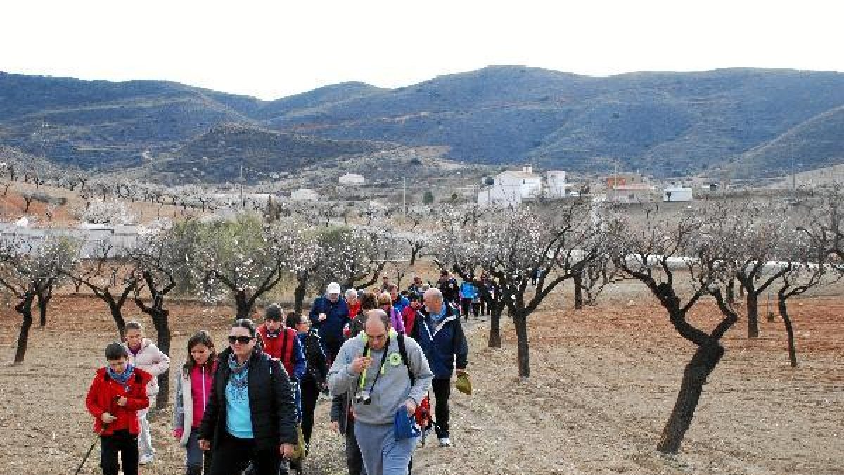 Participantes en una de las dos rutas de Lubrín.