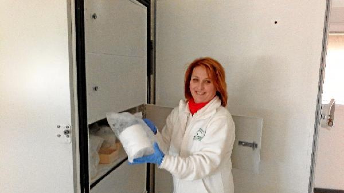 IsabeL Aguado, técnico de laboratorio en el Centro de Transfusión de Almería muestra un envaso con t