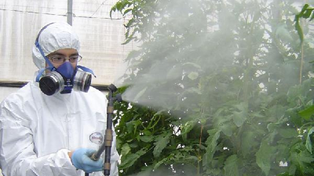Un técnico muestra cómo aplicar fitosanitarios.