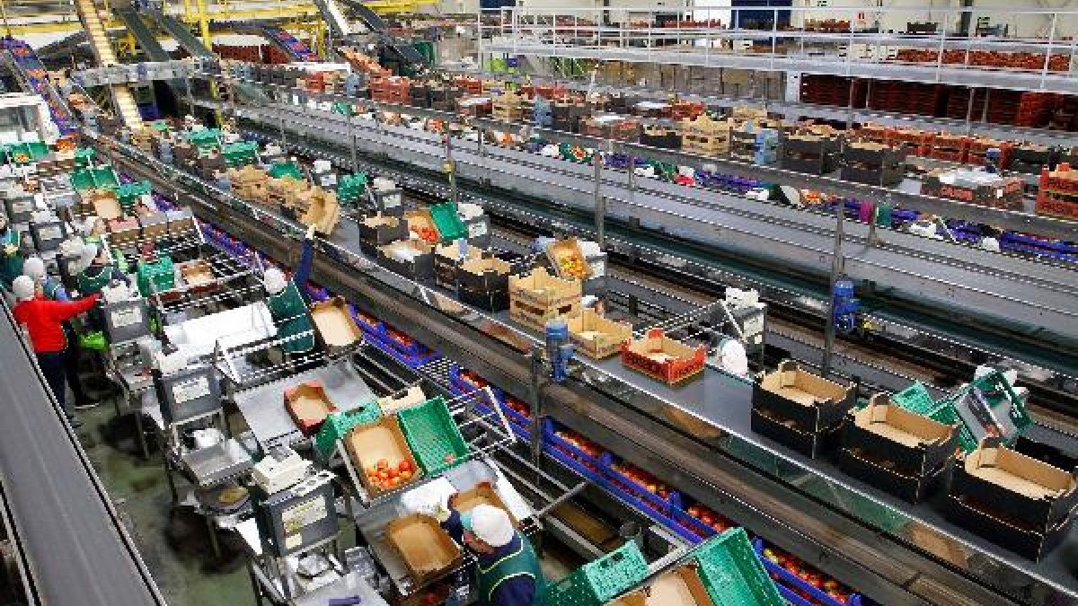 Nave de manipulado de Casur.