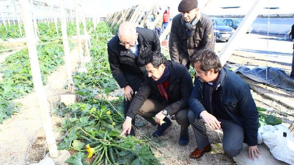 responsables del Partido Popular realizaron un recorrido por los invernaderos afectados por la torm