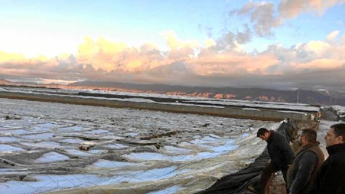 Efectos devastadores de lagranizada en El Ejido