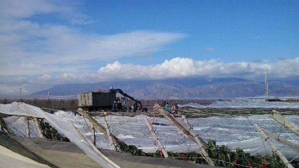 Los agricultores ya han comenzado a reparar las estructuras.