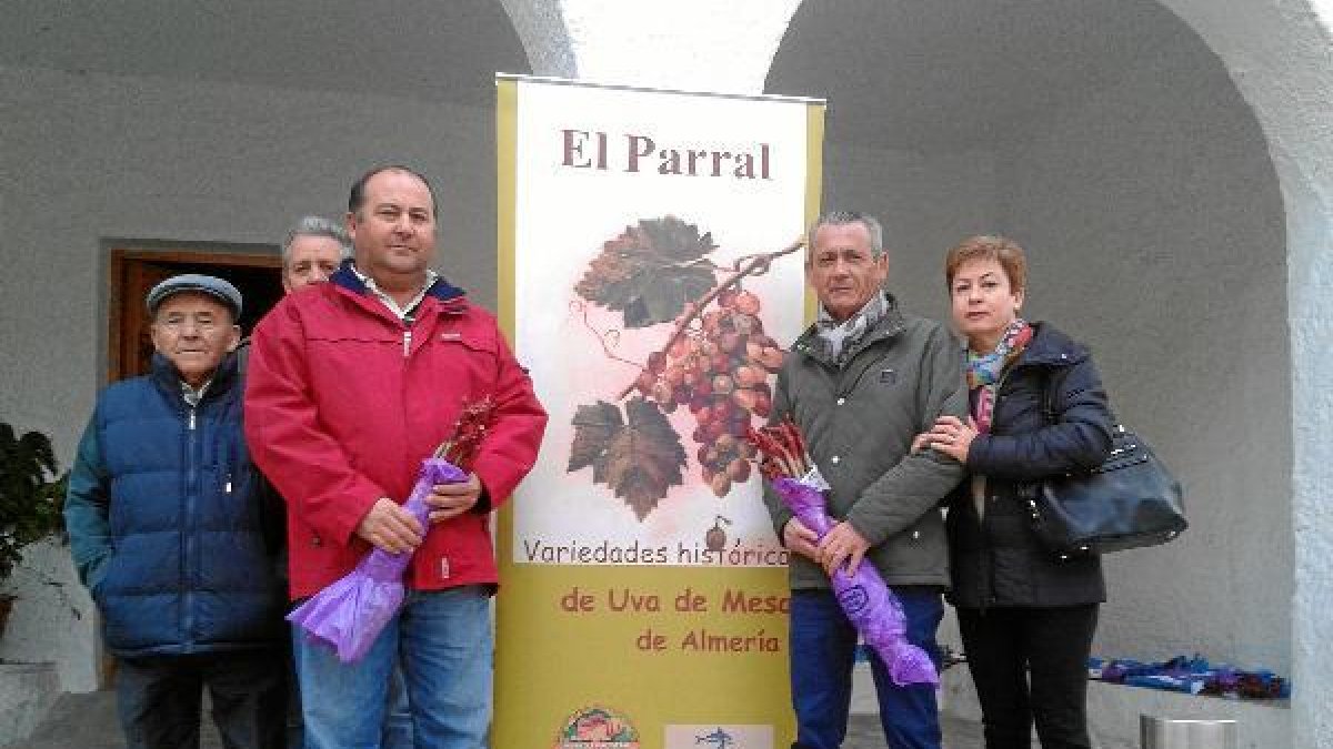 Recogida de las parras en Terque
