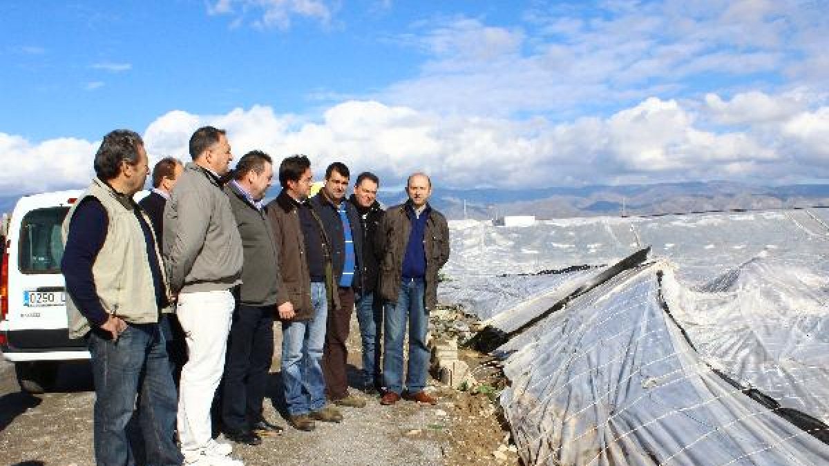 Ayuntamiento y organizaciones agrarias han visitado la zona afectada.