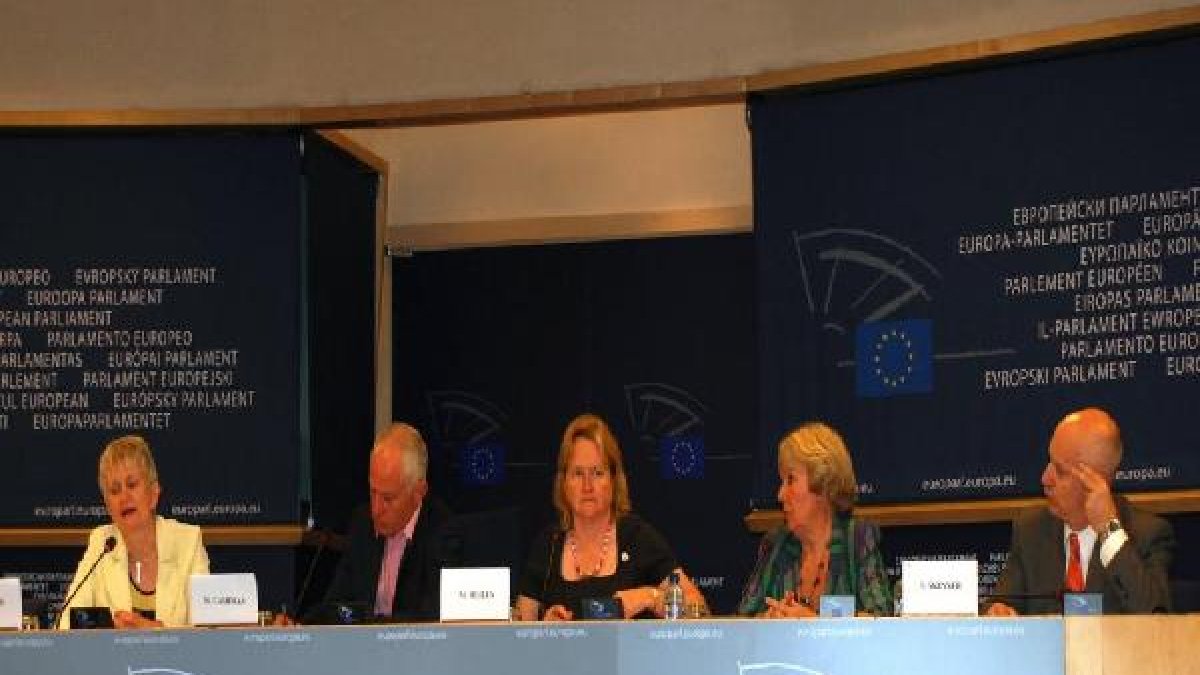 Maura Hillen (centro) en una comparecencia en el Parlamento Europeo por las viviendas fuera de orden