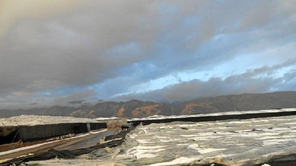 Los agricultores han denunciado una posible alteración premeditada del clima.