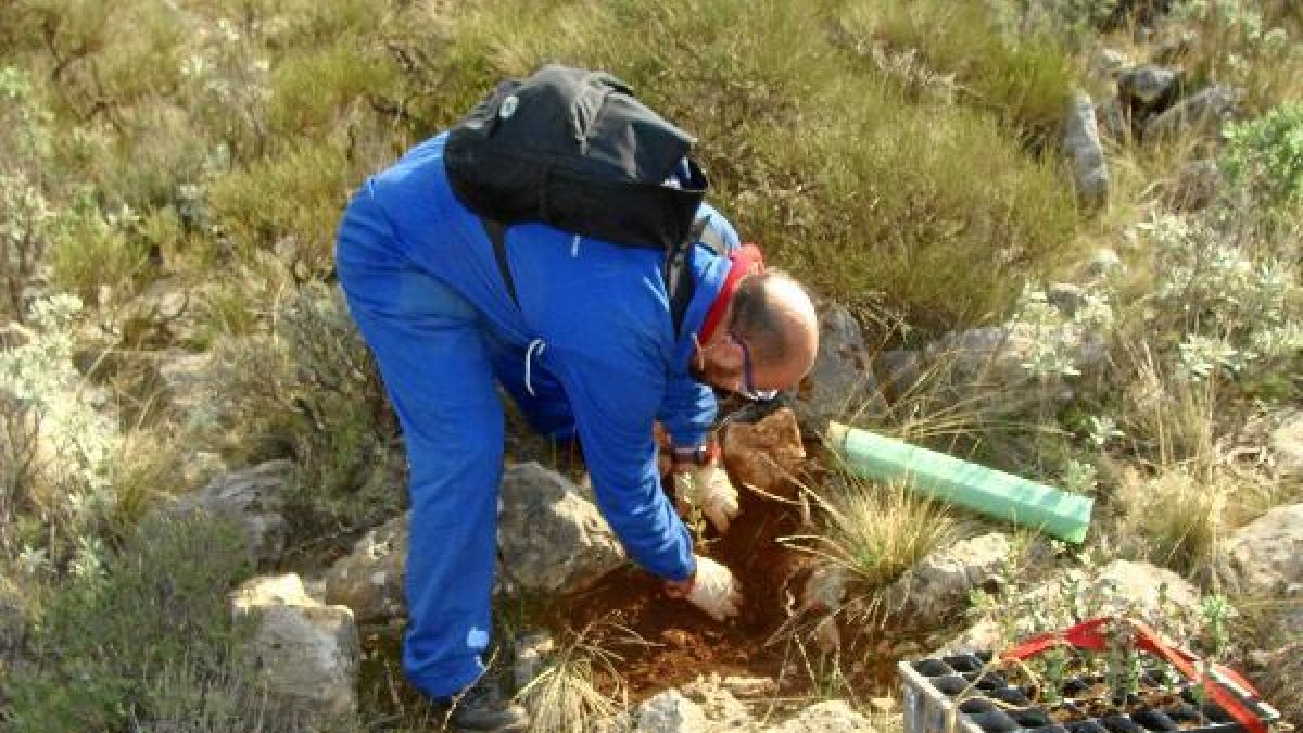 Un operario en las tareas de reposición de amarres.
