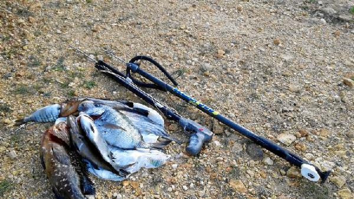 Pescado y fusil subacuático decomisado por los agentes.