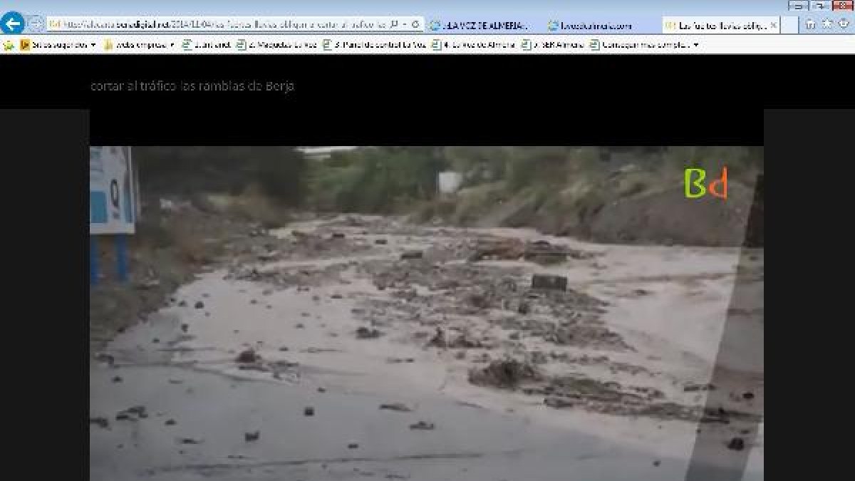 Imagen del agua bajando por la rambla, capatada por Berja Digital.