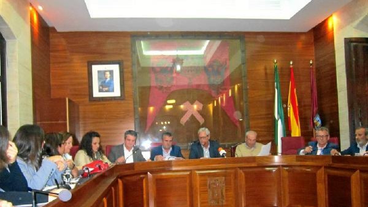 Pleno extraordinario celebrado en la tarde del pasado jueves para tratar sobre Codeur.