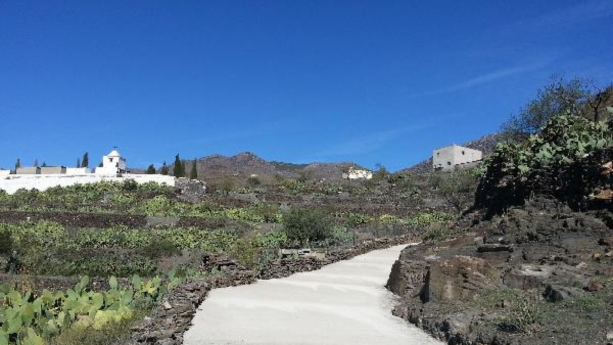 Camino rural de El Saltador