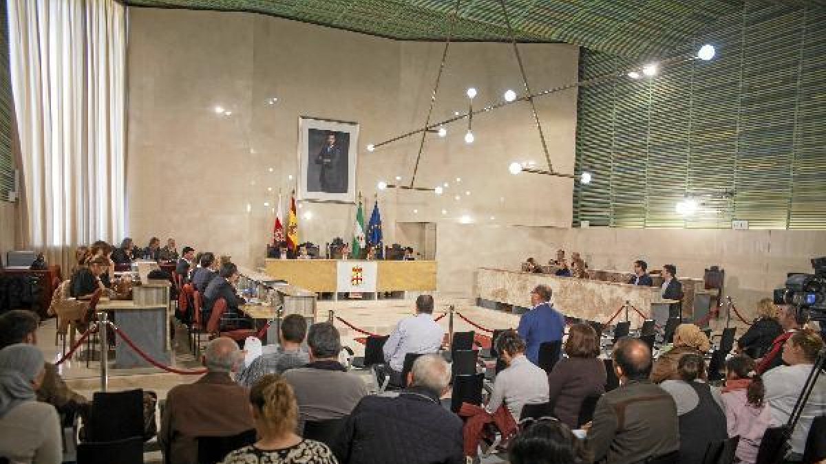 Visión general del Pleno del Ayuntamiento