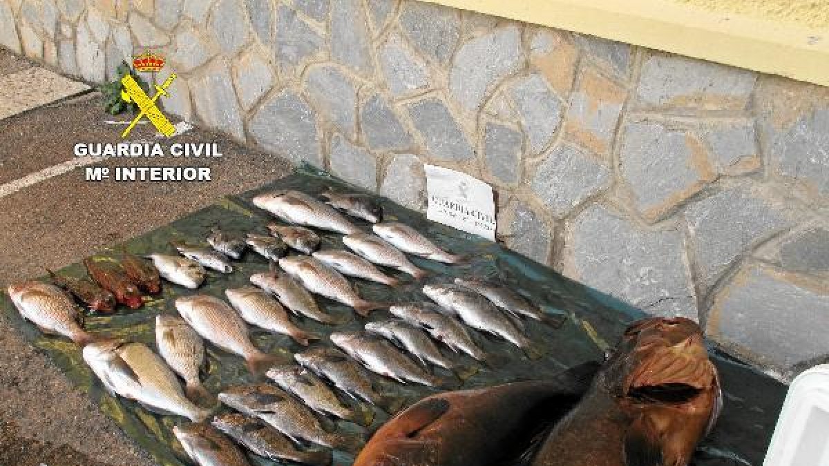 Piezas capturadas por los furtivos en la zona de Los Escullos.
