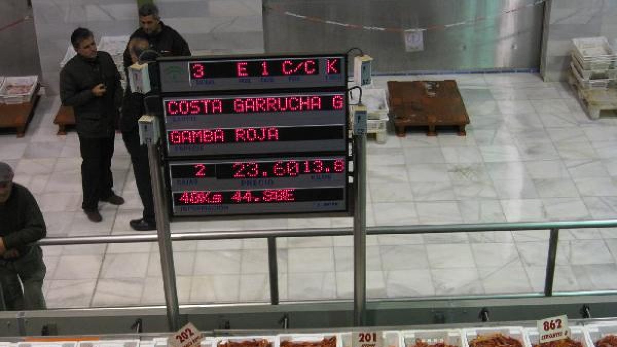 Imagen de la lonja del Puerto de Garrucha