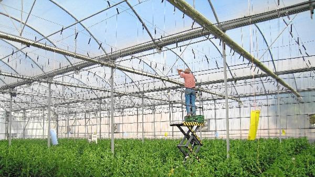 Los agricultores deben afrontar numerosas tensiones