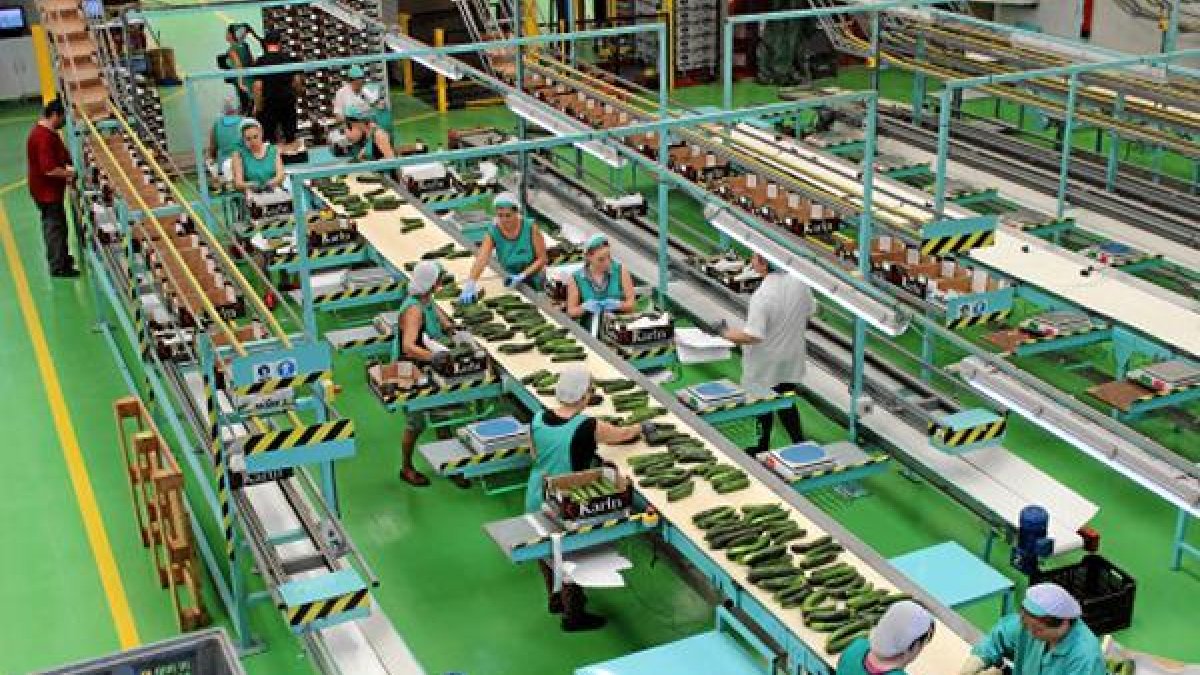 Mabe ha mostrado su disposición a insertar a mujeres en riesgo de exclusión.