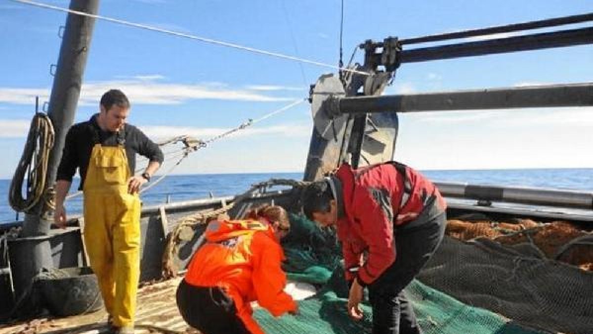 Control de la Armada a bordo de una embarcación de Almería
