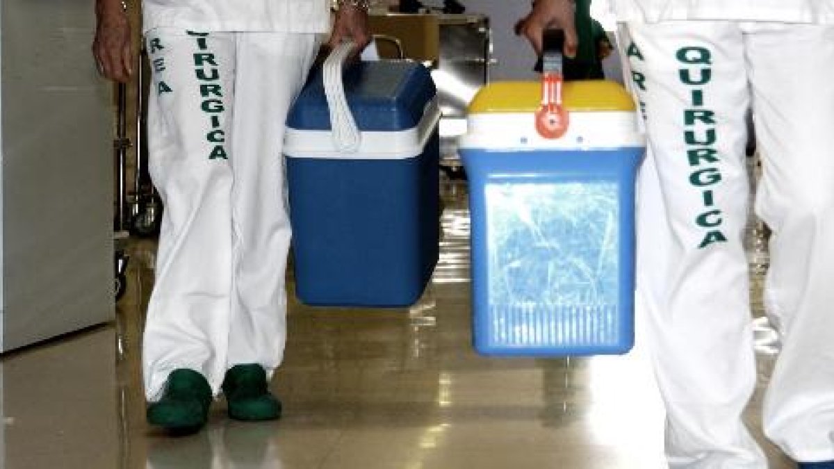 Sanitarios trasladan órganos para trasplante.