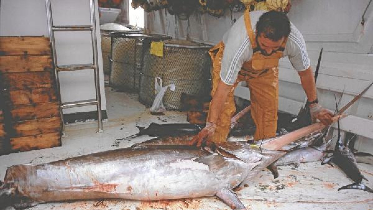 Un pescador de Carboneras con un pez espada a bordo