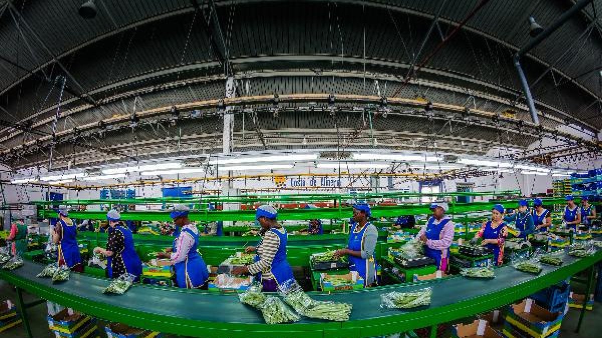 Almacén de manipulado de Costa de Almería.
