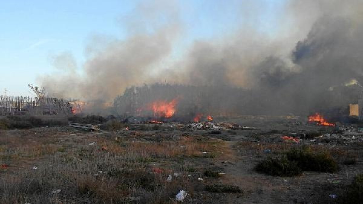 Zona de cañaveral ardiendo, a las afueras de Almería.