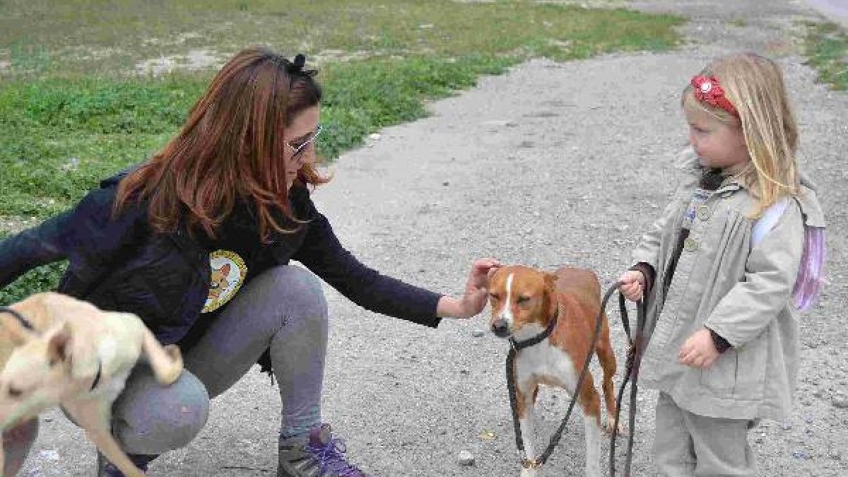 Paseos con los perros de la protectora.