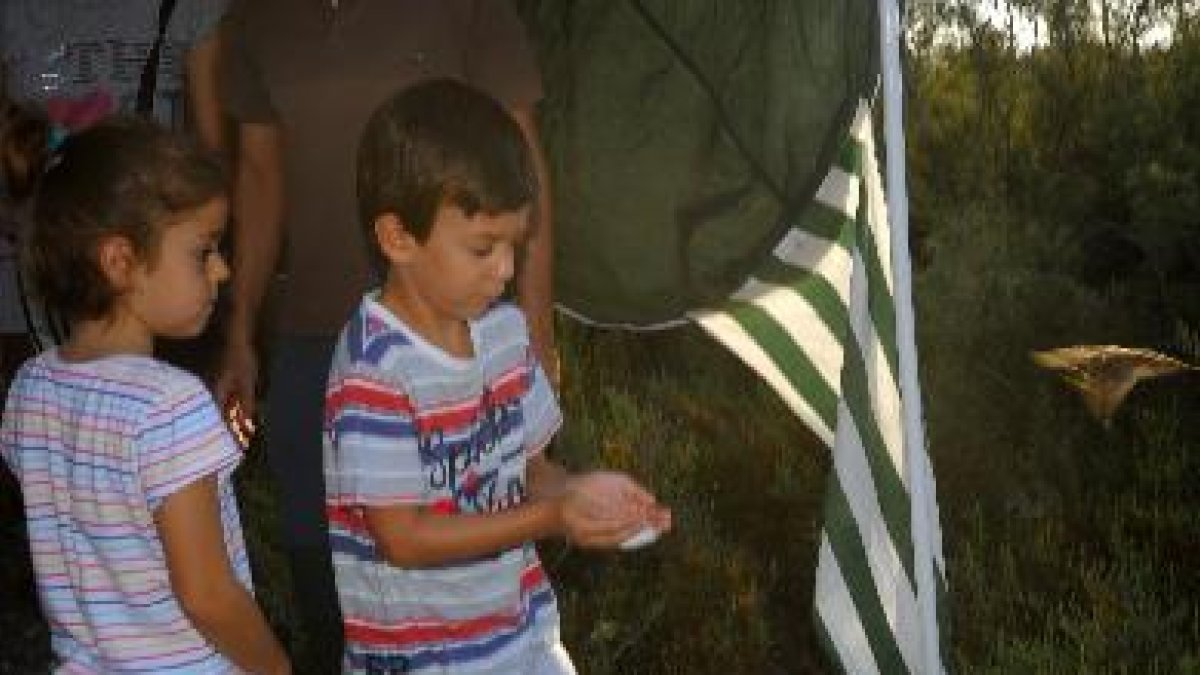 Un niño libera una ave en una imagen de JMLopez-Martos CMAOT.