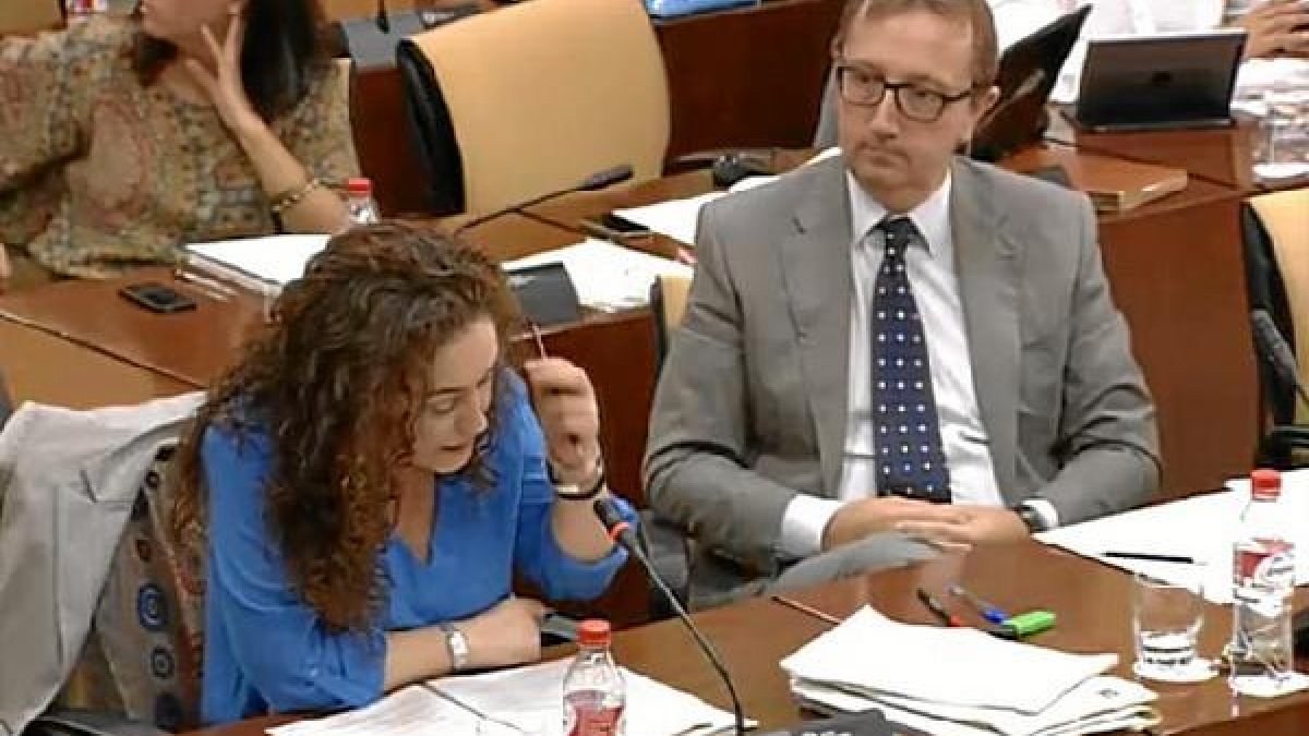 Los oradores de IU y PSOE en la Comisión, esta mañana