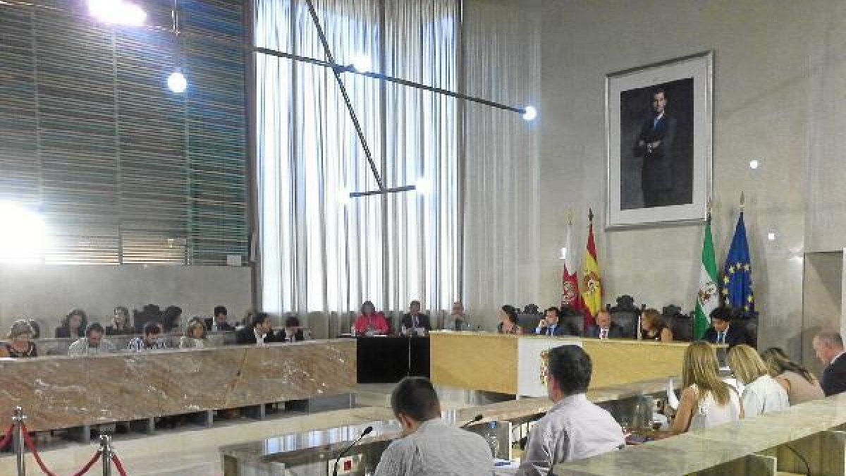 Pleno de esta mañana