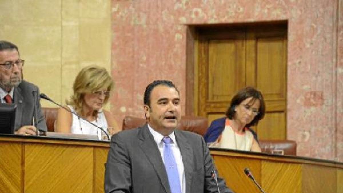 Cara, en el Parlamento
