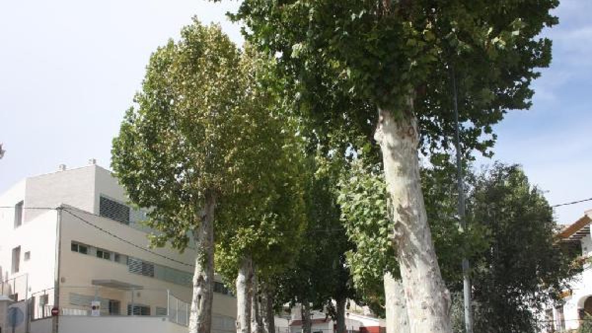 Avenida Lepanto, objeto de los trabajos para dar preferencia a peatones y ciclistas