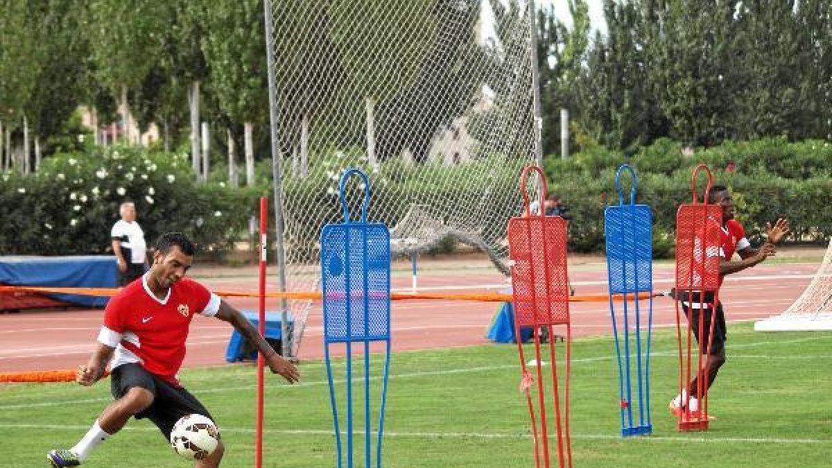 Trabajos de fuerza en el Anexo.