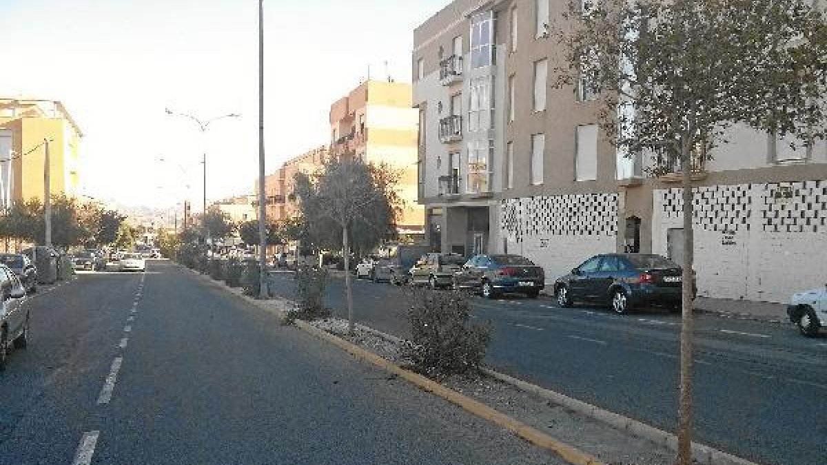 La avenida tras el trabajo de poda