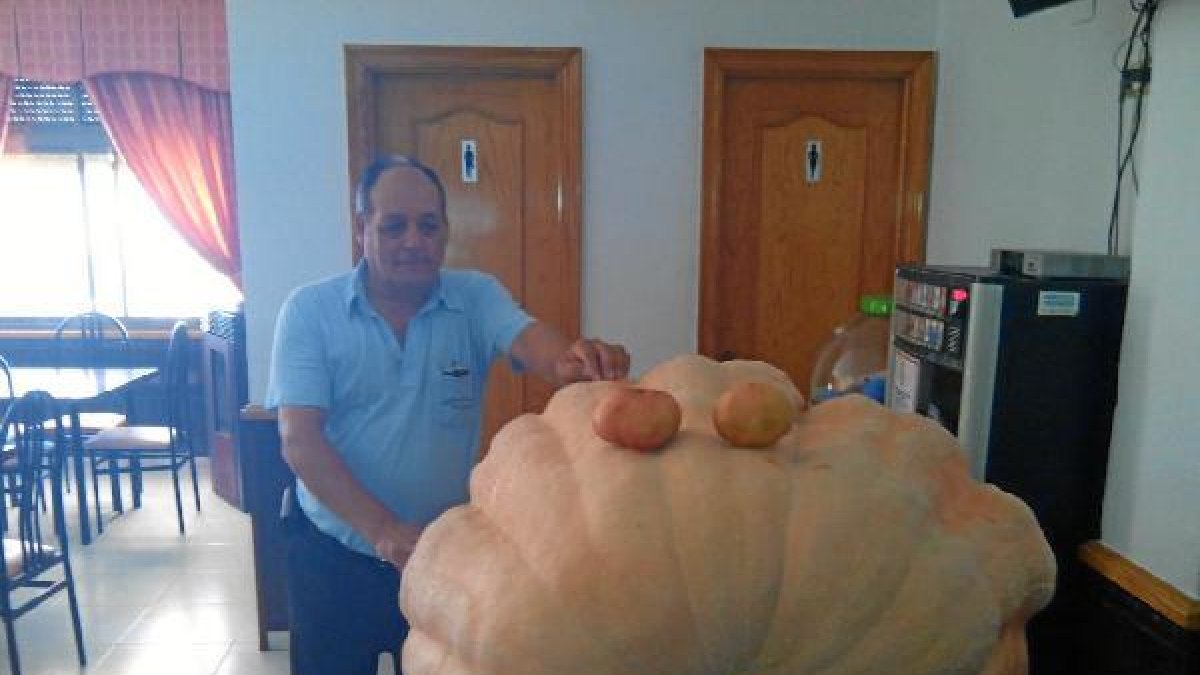 Una calabaza de 280 kilos en Tíjola