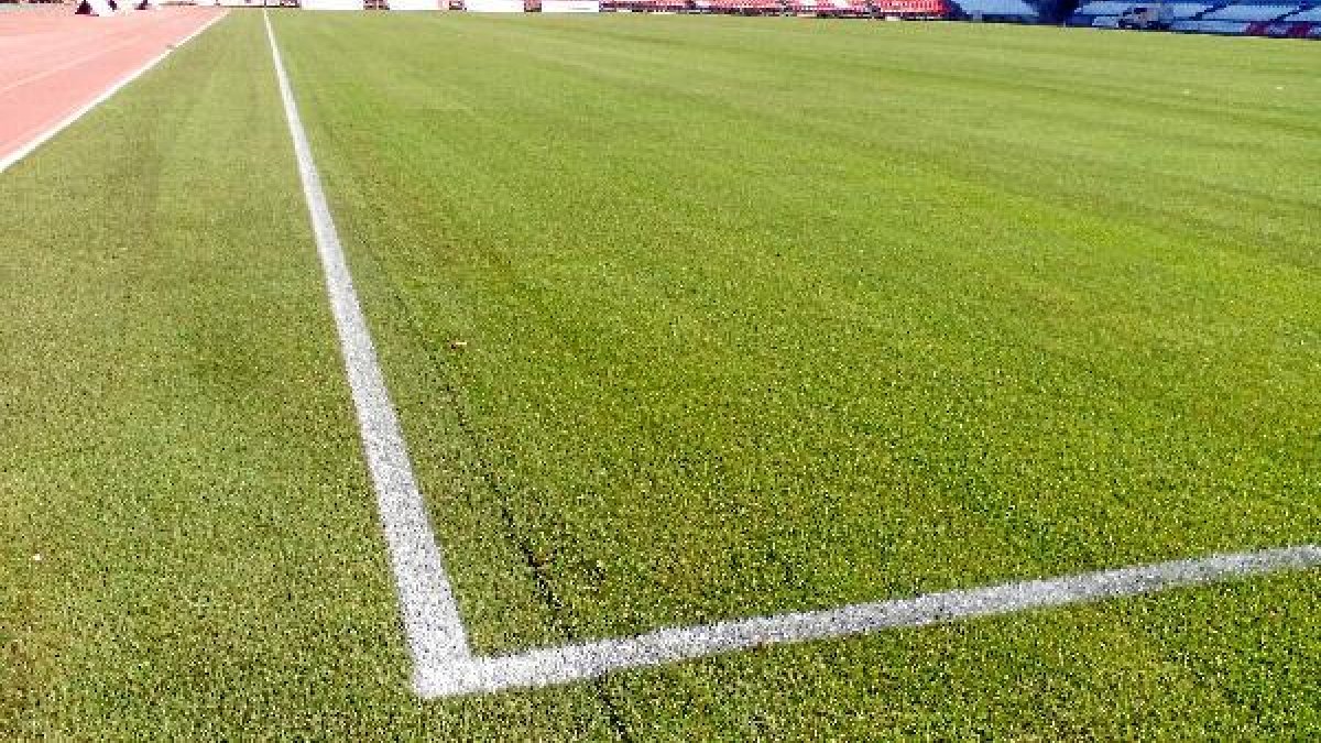 El campo está espectacular.