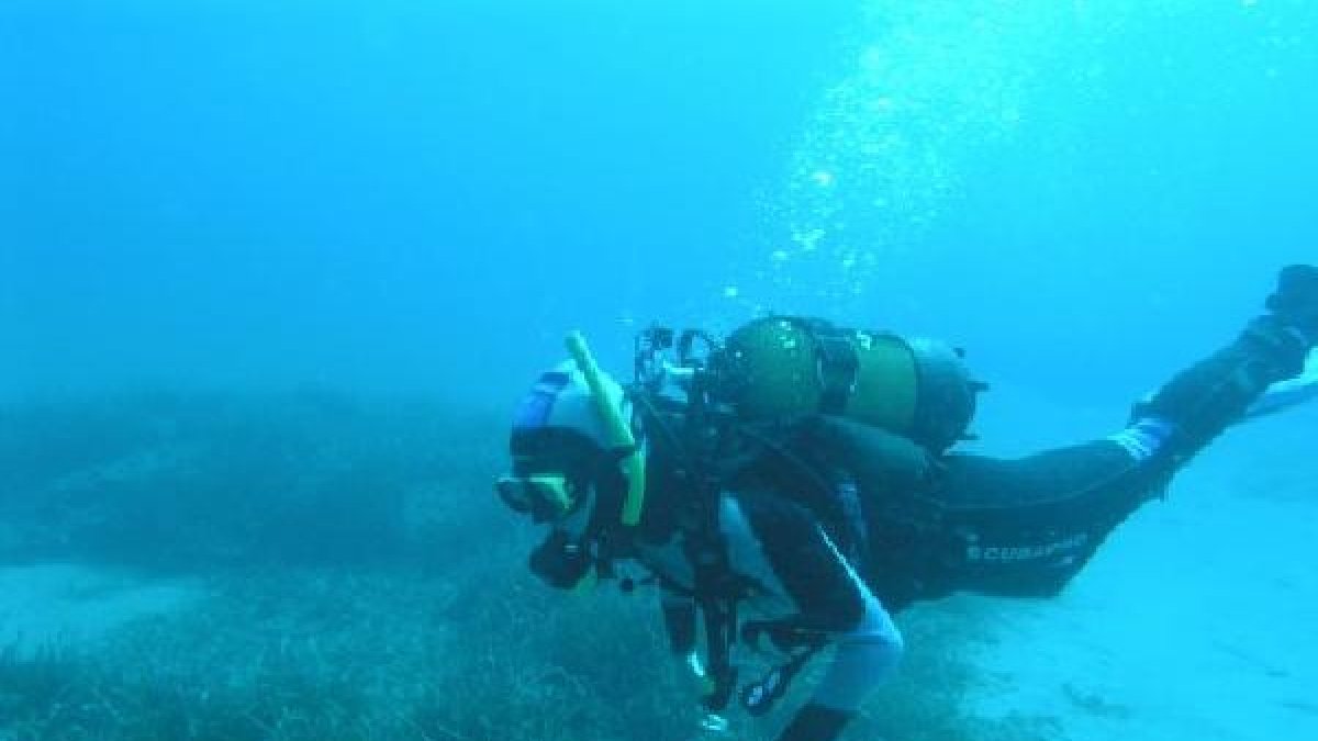 El monumento natural de Posidonia formará parte de la exposición.