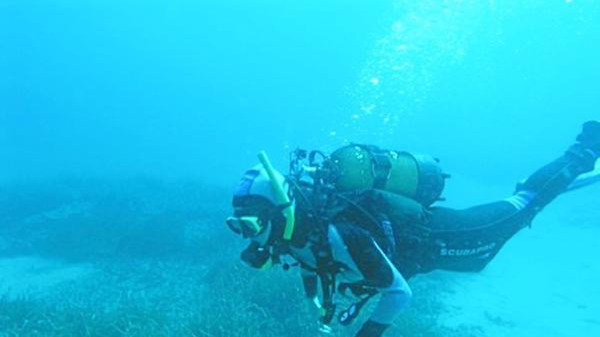 El monumento natural de Posidonia formará parte de la exposición