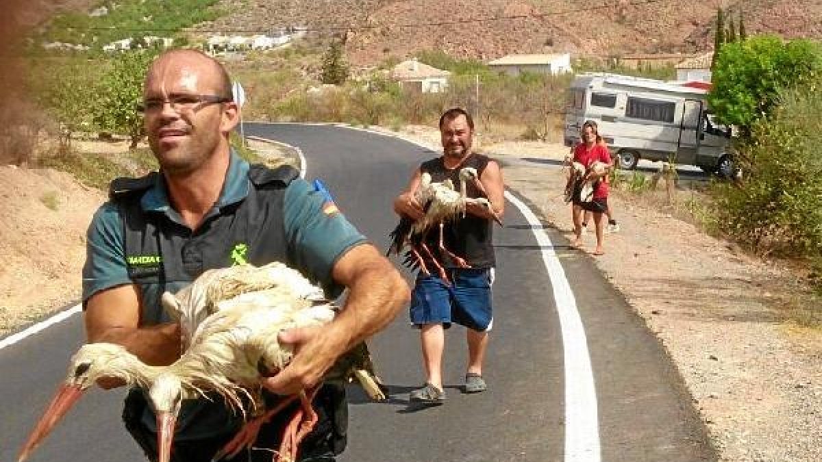 Agentes y vecinos tras salvar algunos ejemplares.
